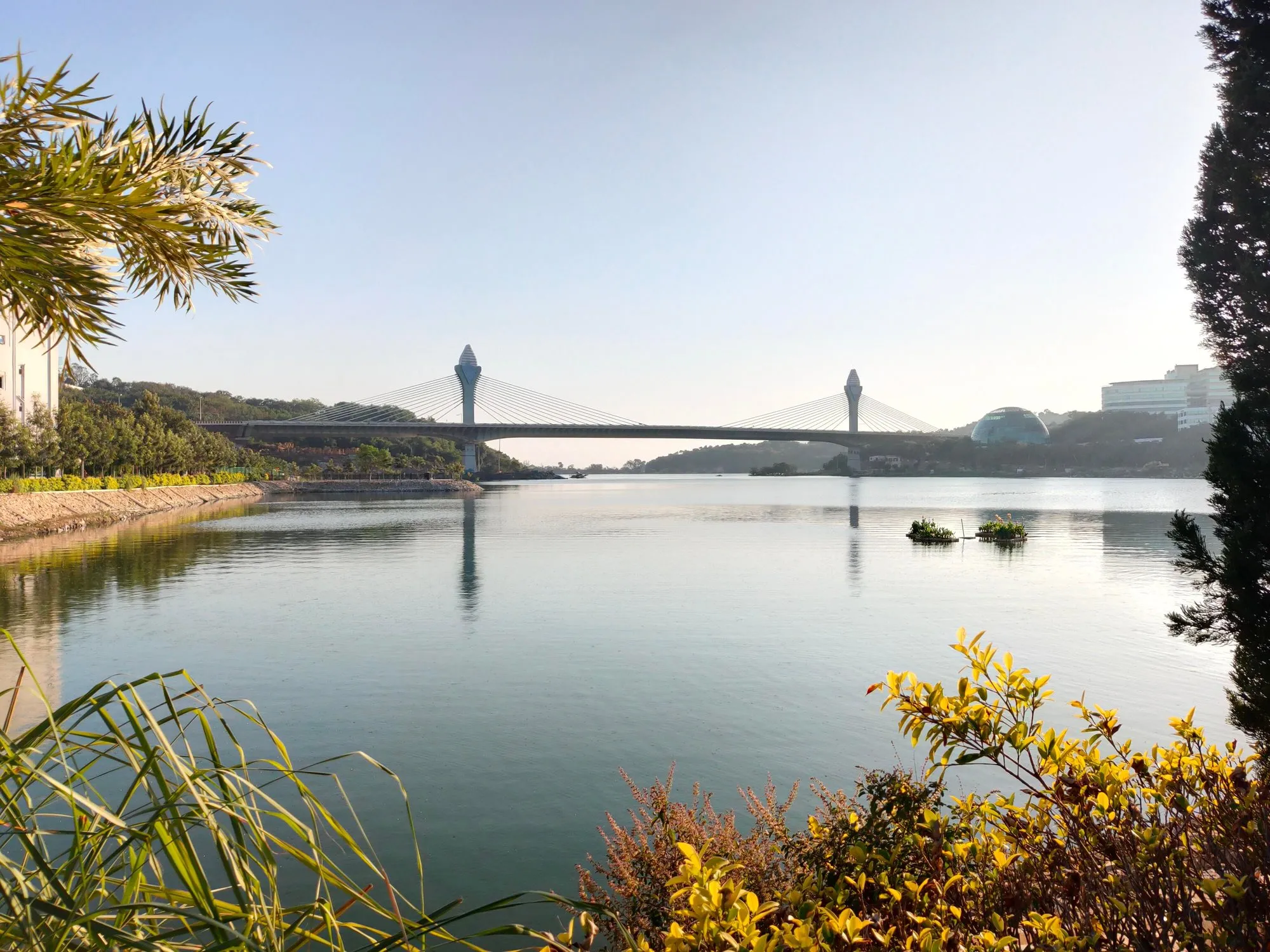 The Durgam Cheruvu cable bridge in Hyderabad by day